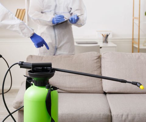 como-limpiar-tapiceria-sofa