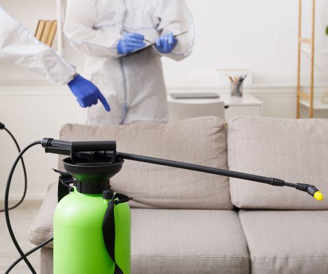 Cómo limpiar sofás y tapicerías como un profesional