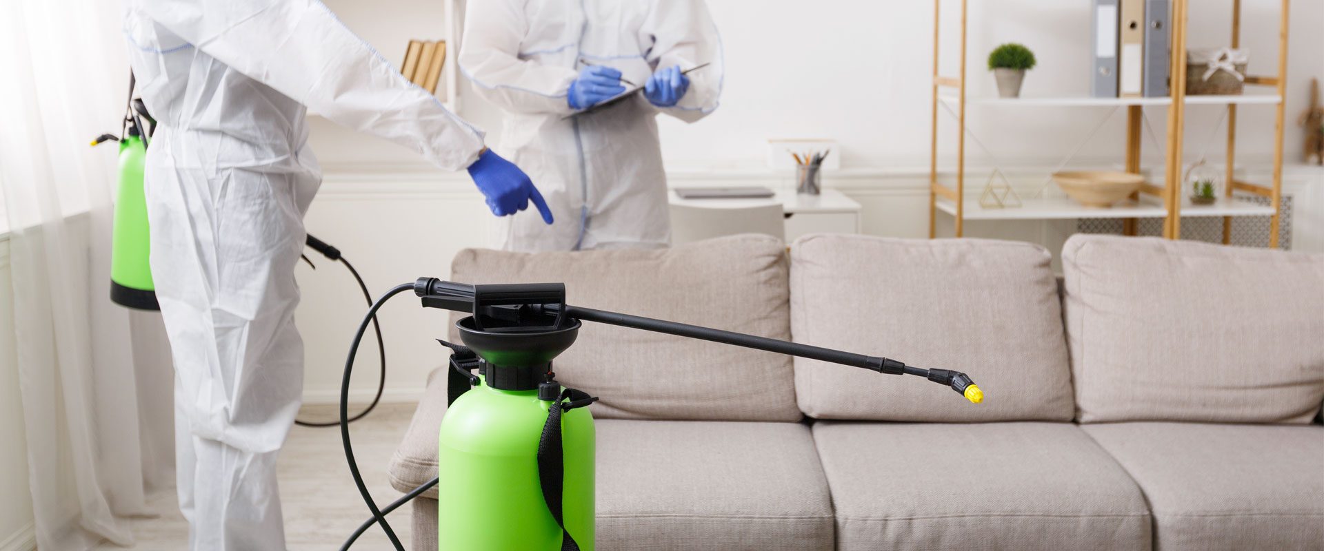 Cómo limpiar un sofá de tela - Grupo Control Servicios